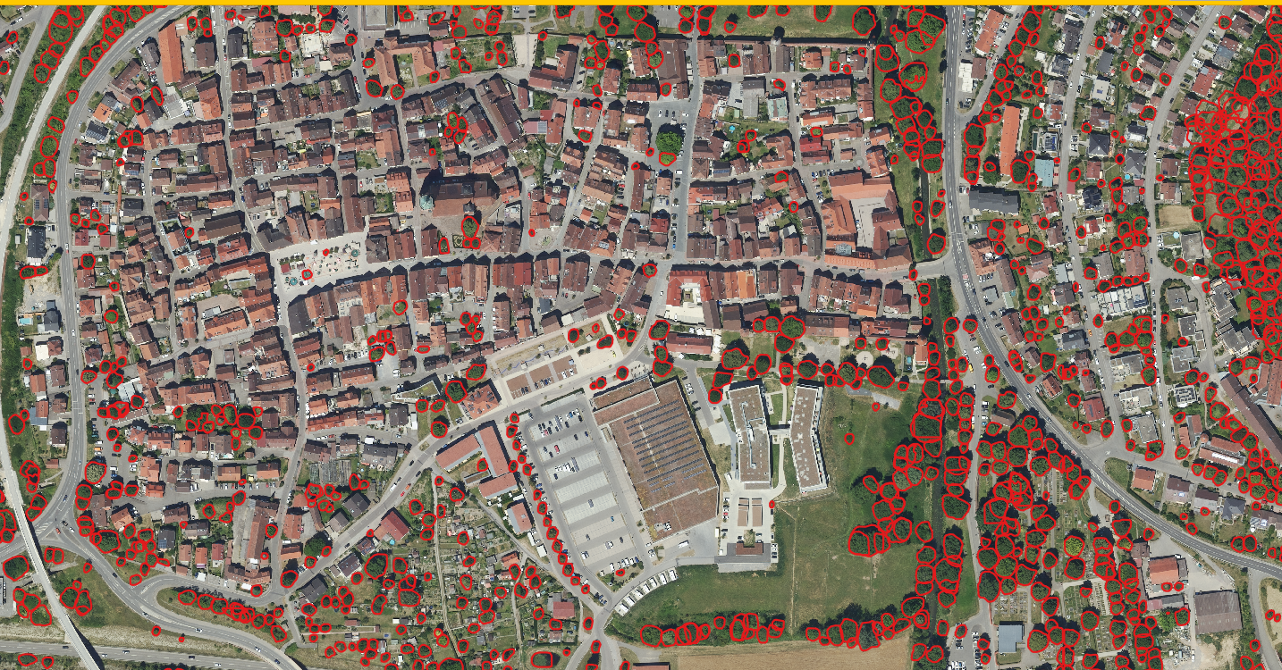 AExample of the results in a village (1)