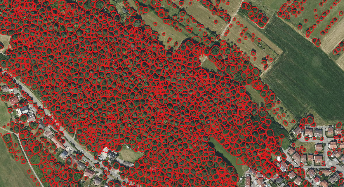 Example of the results in a village (3)