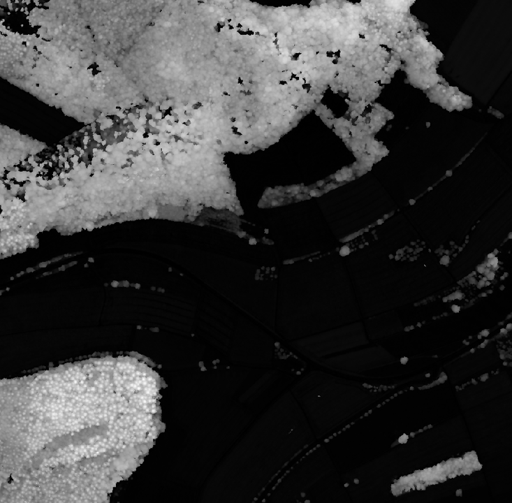 Single nDSM-Image
