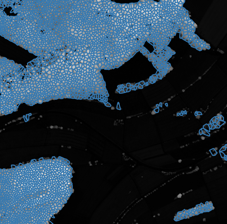 Single nDSM-Image with Voronoi polygons