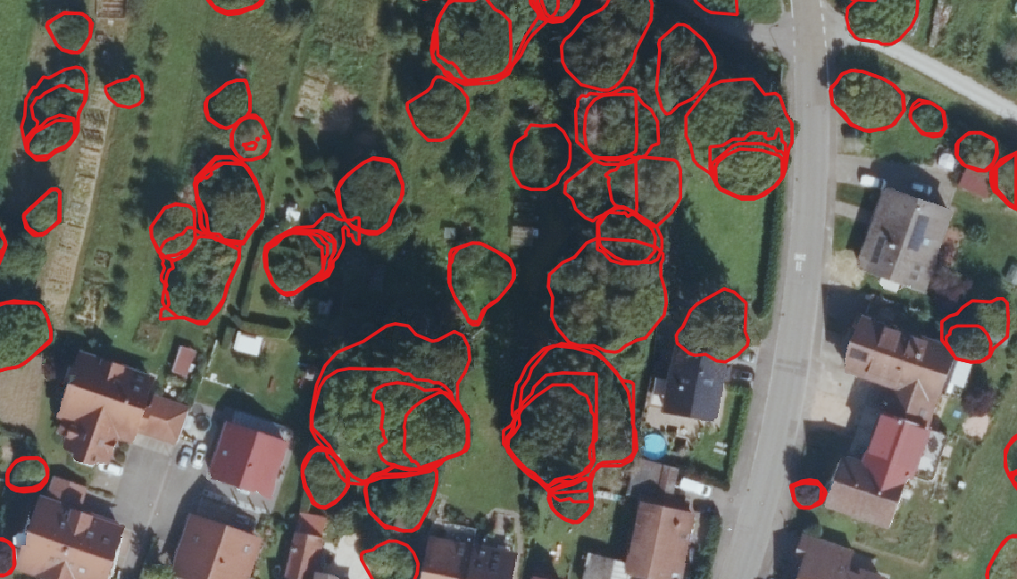 Falsely Segmented Tree Crowns